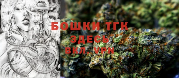 ECSTASY Няндома