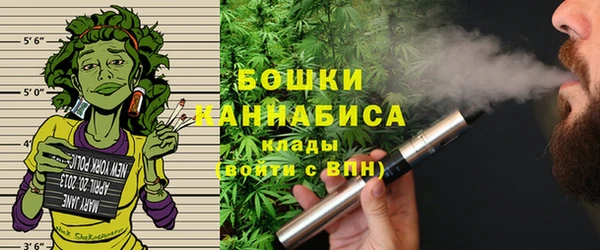 МДПВ Осинники