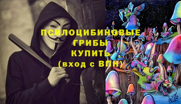 гашик Вязники