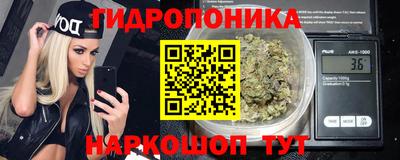 PSILOCYBIN Заволжье