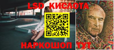 PSILOCYBIN Заволжье