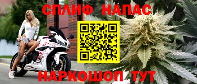PSILOCYBIN Заволжье