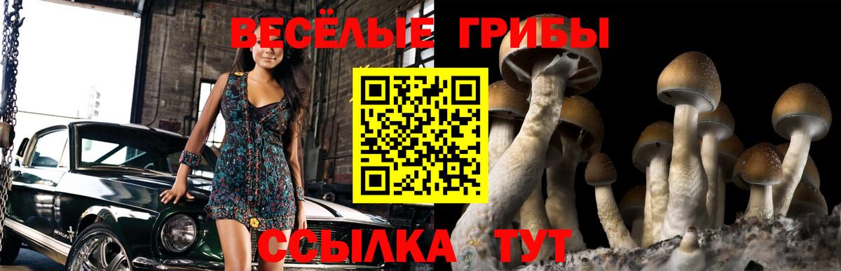 Усть-Лабинск  Псилоцибиновые грибы ЛСД  Вход с VPN 