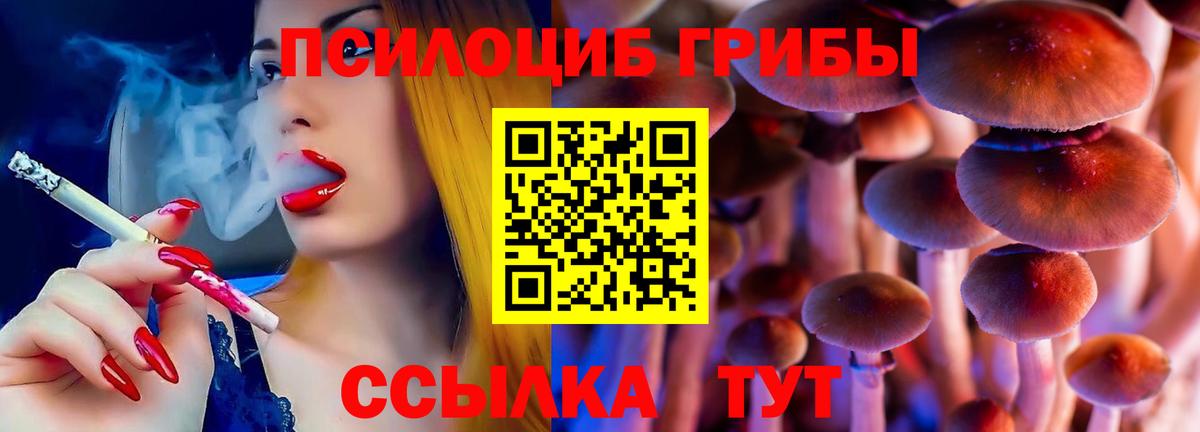 Галлюциногенные грибы Psilocybine cubensis Усть-Лабинск